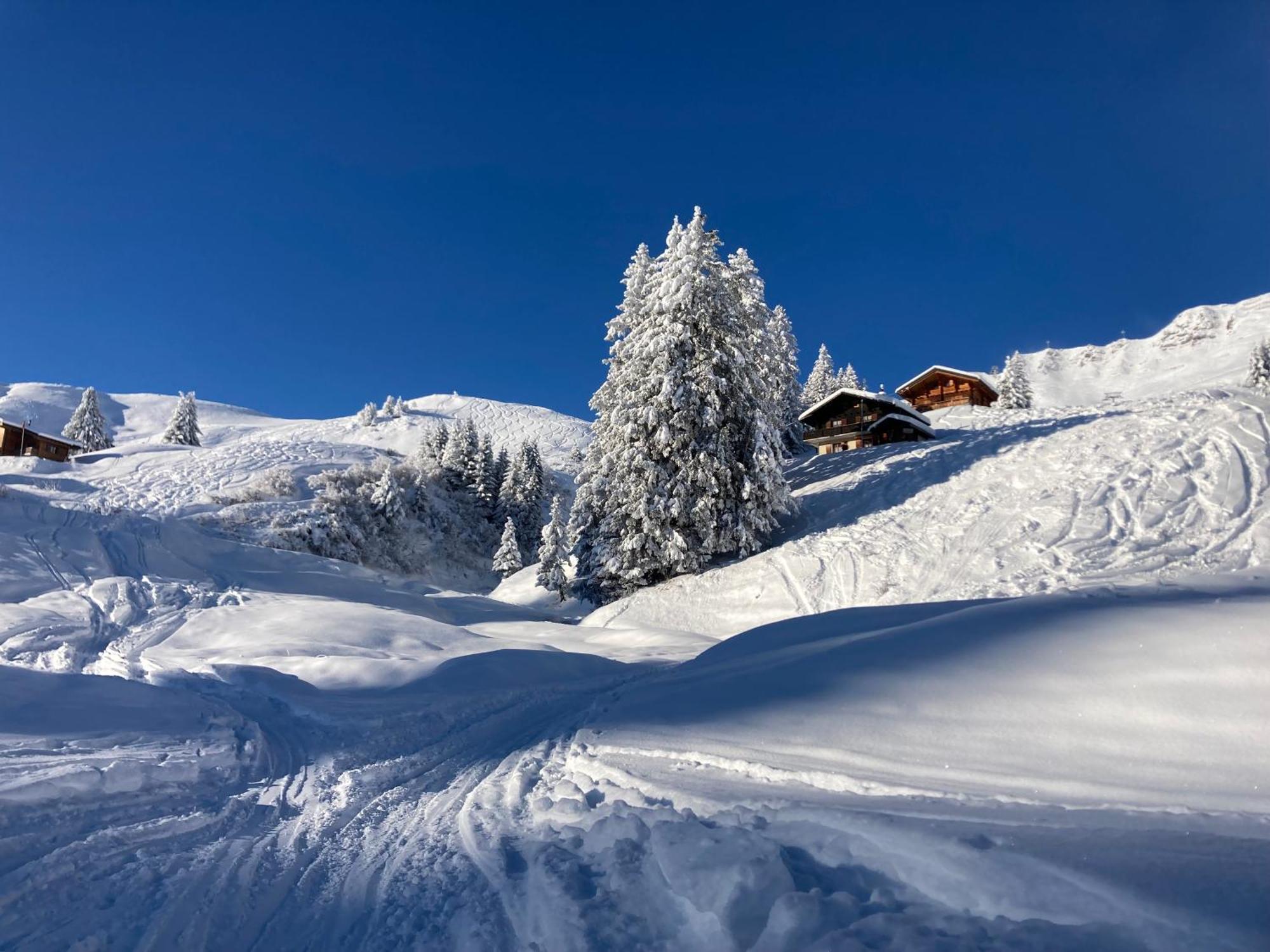B&B Chalet Rey-Bellet Ле Крозе Екстериор снимка